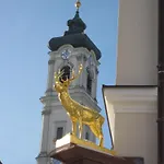 Akzent Brauerei Hirsch Ottobeuren