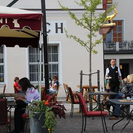 Akzent Brauerei Hirsch Hotel