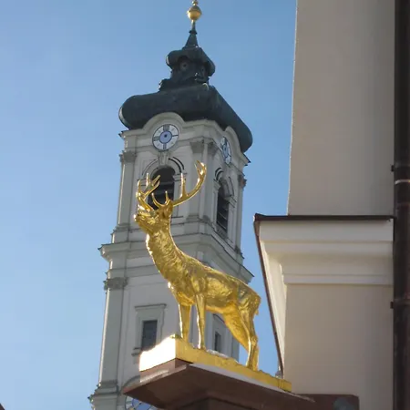 Akzent Brauerei Hirsch Ottobeuren